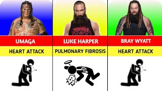 WWE Superstars And Their Death Reason  How WWE Superstars Died [upl. by Babcock]