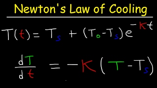 Newtons Law of Cooling Calculus Example Problems Differential Equations [upl. by Nadler]