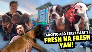 DAGSA NA NAMAN MGA PETS SA GROTTO  GROTTO PET MARKET UPDATE  NOVEMBER 17 2024 [upl. by Gentilis]