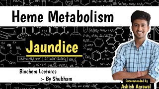 Hyperbilirubinemia amp Jaundice  Heme Metabolism  Biochemistry Lectures [upl. by Nnalyrehc]