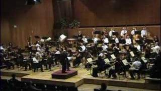 Brahms Symphony3 movement 3 [upl. by Barnabas736]