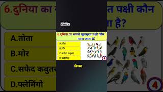 दुनिया का सबसे खूबसूरत पंछी कौन सा है khansirmotivation gkkiknowledge generalknowledge gkquiz [upl. by Blank]