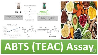 ABTS TEAC  TroloxEquivalent Antioxidant Capacity Assay  Principle Advantages amp Limitations [upl. by Minne]