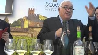 La mineralità del vino non esiste [upl. by Htabmas]