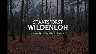 Wildenloher Wald  Ökotrip in Niedersachsen [upl. by Tattan505]