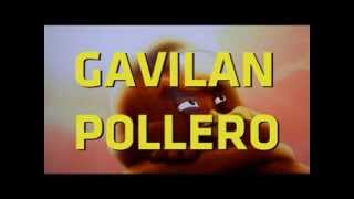 SPOT GAVILAN POLLERO [upl. by Adnamra]