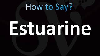 How to Pronounce Estuarine CORRECTLY [upl. by Ikilisav]