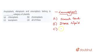 Amyloplasts elaioplasts and aleuroplasts belong to  category of plastids [upl. by Yslek]