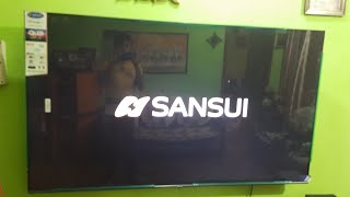 Review amp Reboxing of Sansui QLED 65 Inch Tv 😔😔😔😔sansui 4ktv [upl. by Ikcim]