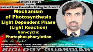 Light Reaction Noncyclic Photophosphorylation Lecture 8 Part2 Ch4 NBF Biology 1st Year [upl. by Alford]