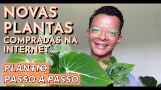 Plantio das novas plantas adquiridas [upl. by Assenat332]