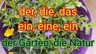 Deutsche Artikel der die das ein eine kein keine mein meine Deutsche Grammatik verstehen Übung [upl. by Normak]