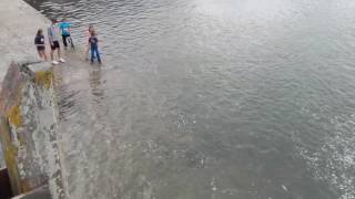 Amazing scenes of Mackerel Breaking in Youghal Co Cork [upl. by Naggem]