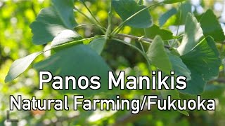 daywalker  Natural Farming Interview Panos Manikis FULL e15 [upl. by Kabob]