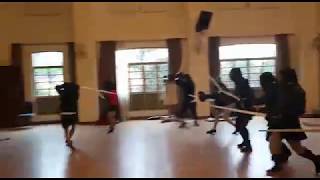 HEMA montante sparring  1 vs 8 part 2 [upl. by Conlee]