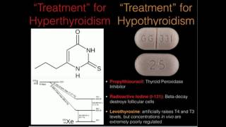 Thyroid Peroxidase and Thyroid Treatments [upl. by Eniawed]