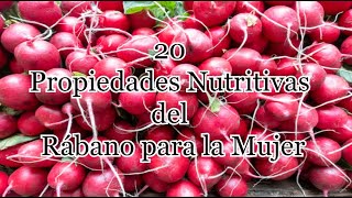 20 Propiedades Nutritivas del Rábano para la Mujer [upl. by Prendergast891]