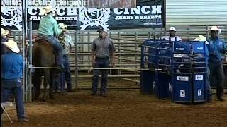 Roy Cooper Roping Ty Harris [upl. by Odradlig]