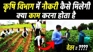 कृषि विभाग में नौकरी कैसे पाए  Krshi vibhag me job kaise paye agriculturejobvacancy [upl. by Yraillih76]