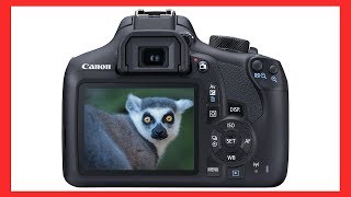 How to adjust Shutter Aperture amp ISO on a Canon EOS DSLR camera [upl. by Aromas]