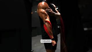 FOREARMS  Must TRY FOREARM WORKOUT  EFFECTIVE RESULTS [upl. by Enilesoj]