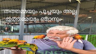 തത്തമ്മയുടെ വീട്ടിൽ youtube viralvideo [upl. by Nosreg]