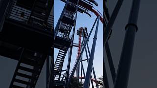 Sheikra first half off ride POV at Busch Gardens Tampa [upl. by Brenn]