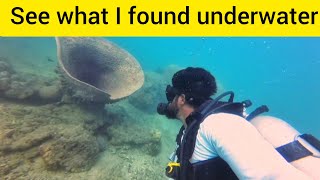 Giant Barrel Sponge Underwater  Scubadiving in Havelock Island Andaman [upl. by Leeland]