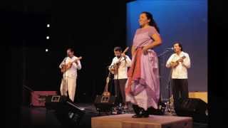 Las Parteras Grupo Híkuri Son jarocho [upl. by Anaiviv351]