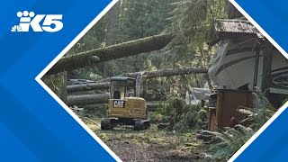 At least 50 RVs campers crushed by trees at Lake Stevens campground [upl. by Nnylyar299]