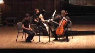 Beethoven Clarinet Trio Op 11  Adagio [upl. by Kirk]