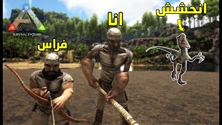 أرك سيرفايفل  البدايه الهستيريه ومحاولة ترويض الديناصورات Ark survival [upl. by Wadsworth]