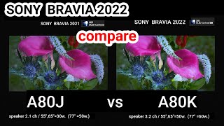 SONY A80K vs A80J compare [upl. by Loggia]