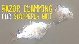 Summer Razor Clamming and Surf Perch Fishing in Newport Oregon [upl. by Neirbo231]