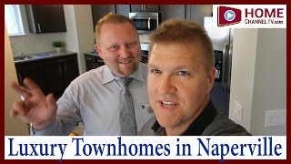 Real Estate  Luxury Houses in Naperville Illinois [upl. by Rogers]