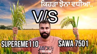 ਕਿਹੜਾ ਝੋਨਾ ਵਧੀਆ sawa 7501 vs supereme 110 [upl. by Devon461]