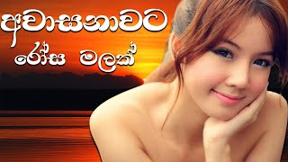 Awasanawata rosa malak paravisinhala karaoke songs without voicenamal udugama song [upl. by Acisseg288]