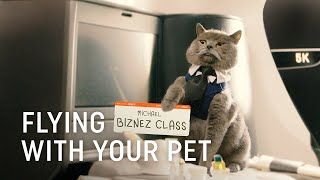 Flying with Your Pet  Turkish Airlines [upl. by Adelric479]