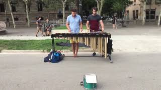 Improvisation on Marimba  Street Musicians [upl. by Rhea]