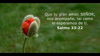 Salmos 33 Alabanzas al Credor [upl. by Gracie]