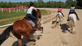 Sternritte  Reiterferien für Traileinsteiger [upl. by Cooley]