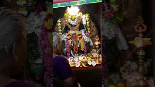 Bairava ashtami swarnakarshanabhairav lord Bhairav [upl. by Dinnage]