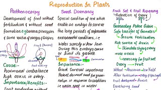 Parthenocarpy  Seed dormancy  Fruit set and fruit ripening  class 12 [upl. by Estelle]