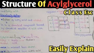 Acylglycerol Structure Fully Explained In Urdu Hindi  Triacylglyceride  Easter  Class 11 Biology [upl. by Yelkcub]