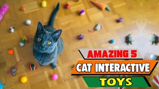 The Ultimate Cat Toy Test We Tried EVERYTHING to Find the BEST Interactive Toys [upl. by Aniraad607]