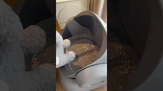 When raising a cat but not wanting to clean the litter box for it Smartcatlitterboxneakasa [upl. by Seravat54]