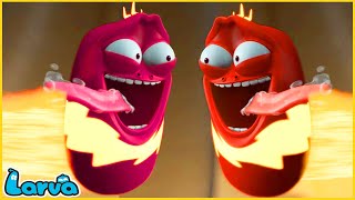 LARVA  Super speed  CARTOON MOVIE FOR LIFE THE BEST OF CARTOON  HILARIOUS CARTOON COMPILATION [upl. by Catt615]