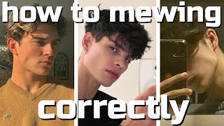 how to mewing correctly and see results full guide [upl. by Aninay286]