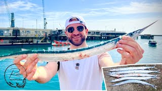 The BEST way to Catch Garfish Longnose UK Float Fishing Setup [upl. by Ahsitniuq]