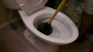 How to Unclog a Toilet [upl. by Annahsat]